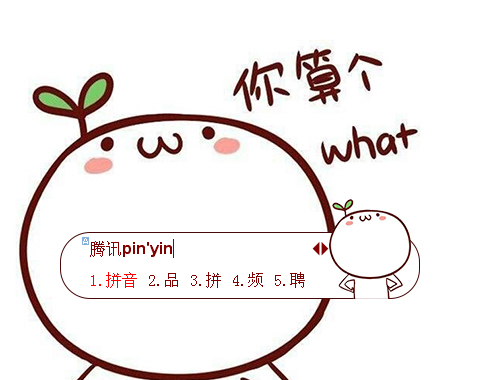 皮肤预览