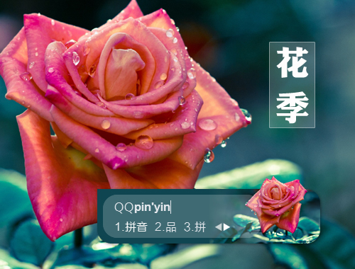 皮肤预览