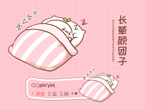 皮肤预览