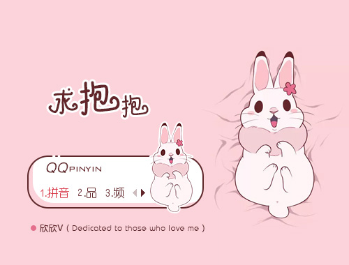 皮肤预览