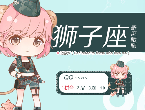 皮肤预览