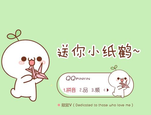 皮肤预览