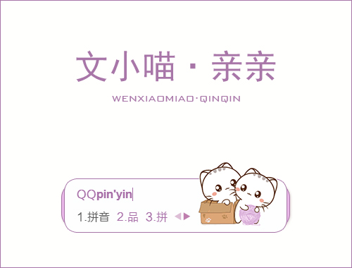 皮肤预览