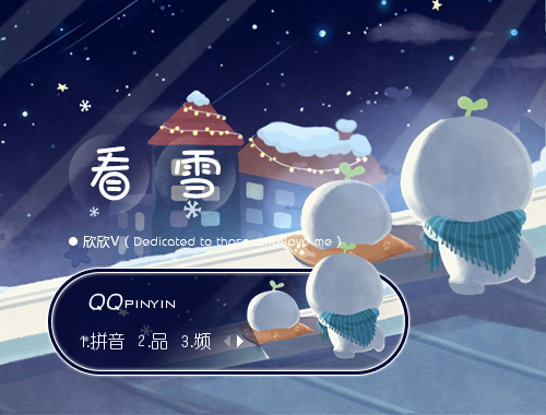 皮肤预览
