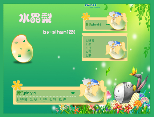皮肤预览