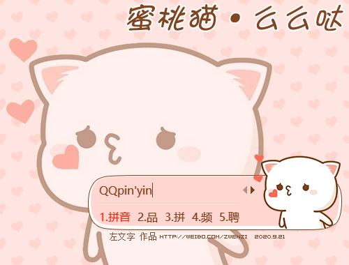 皮肤预览