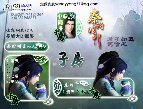 皮肤预览