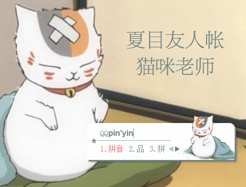 皮肤预览