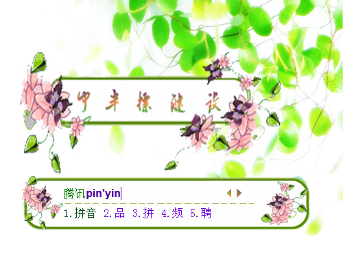 皮肤预览