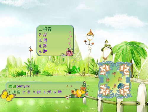 皮肤预览
