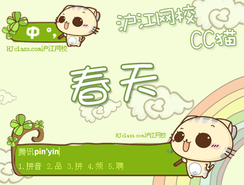 皮肤预览