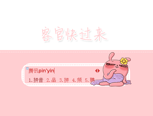 皮肤预览