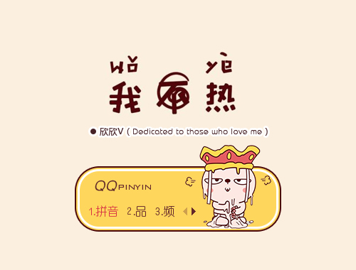皮肤预览