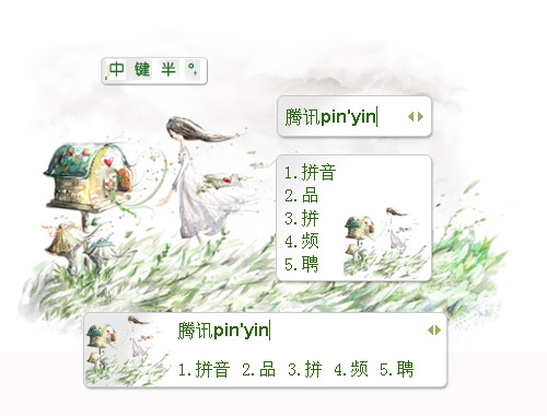 皮肤预览