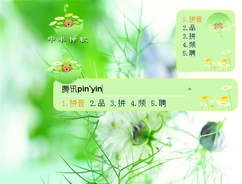 皮肤预览