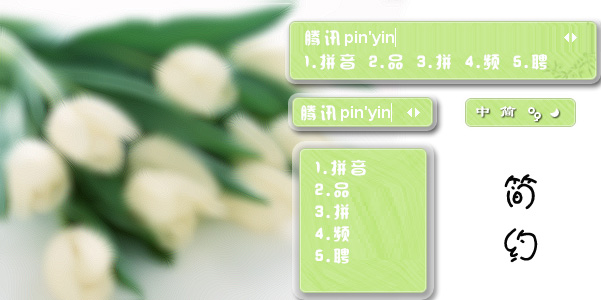 皮肤预览