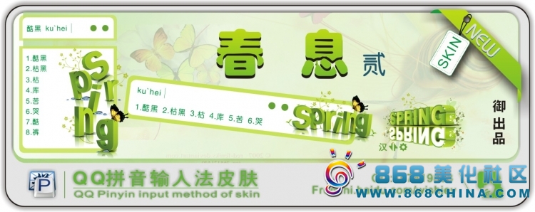 皮肤预览