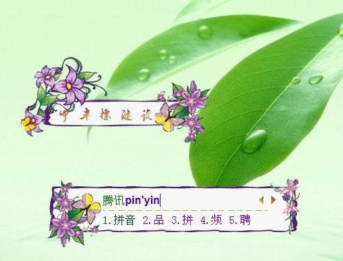 皮肤预览