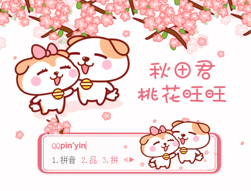 皮肤预览