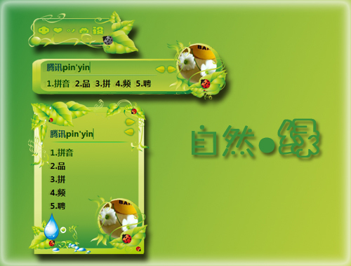 皮肤预览