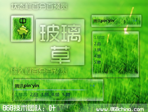 皮肤预览