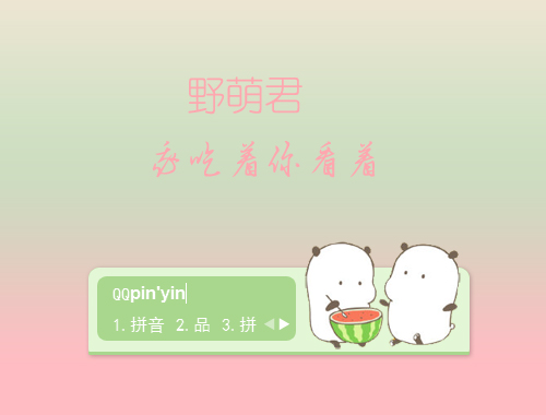 皮肤预览