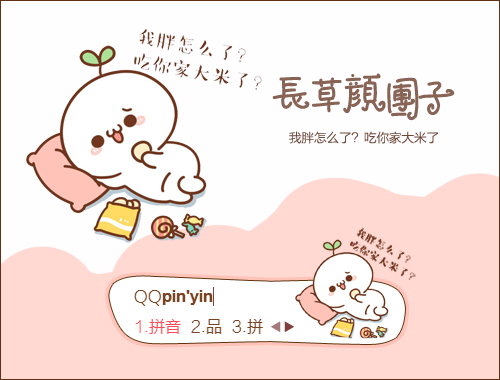 皮肤预览