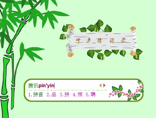 皮肤预览