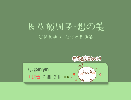 皮肤预览