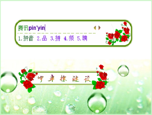 皮肤预览