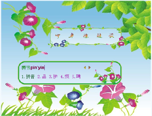 皮肤预览