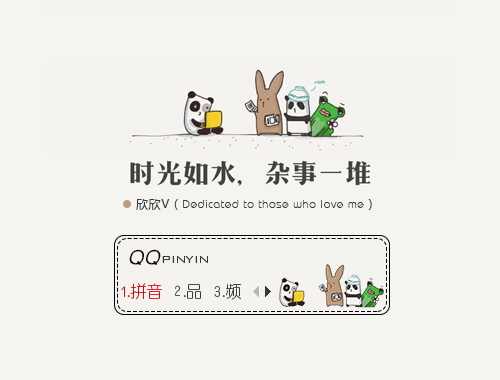 皮肤预览