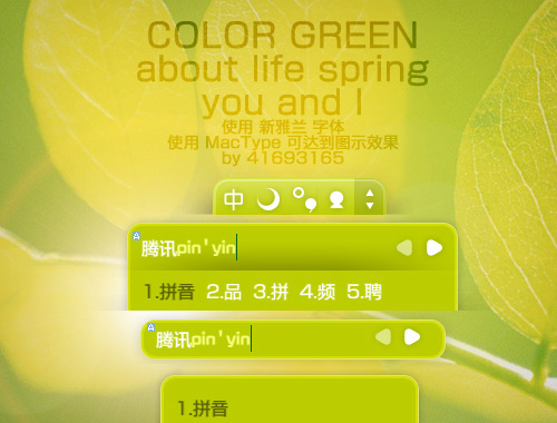 皮肤预览