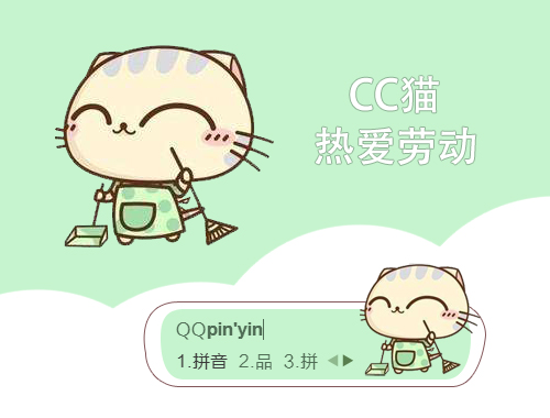 皮肤预览