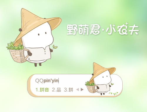 皮肤预览
