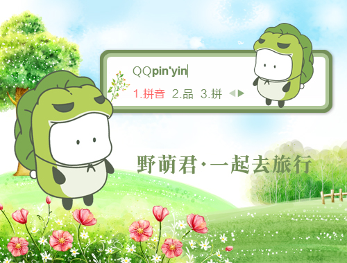 皮肤预览