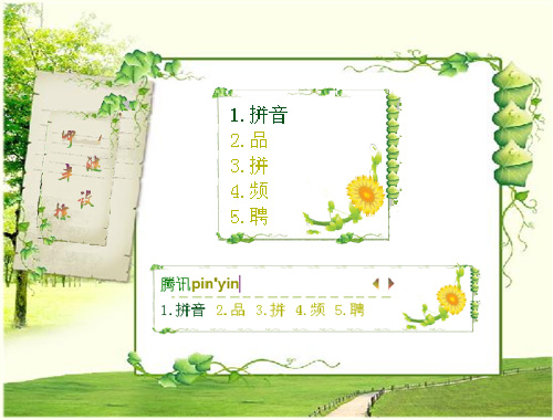 皮肤预览