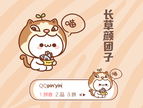 皮肤预览