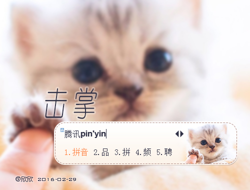 皮肤预览
