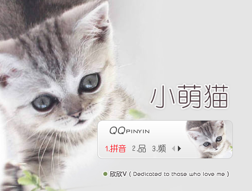 皮肤预览