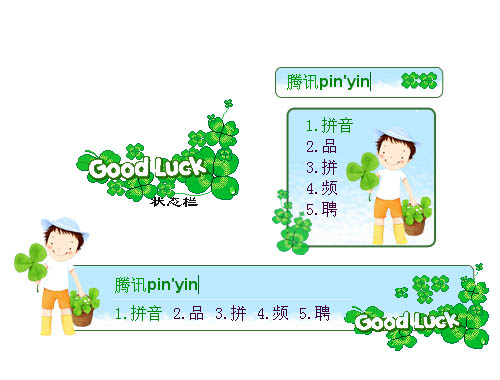 皮肤预览