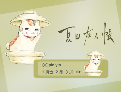 皮肤预览