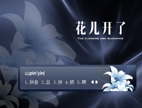 皮肤预览