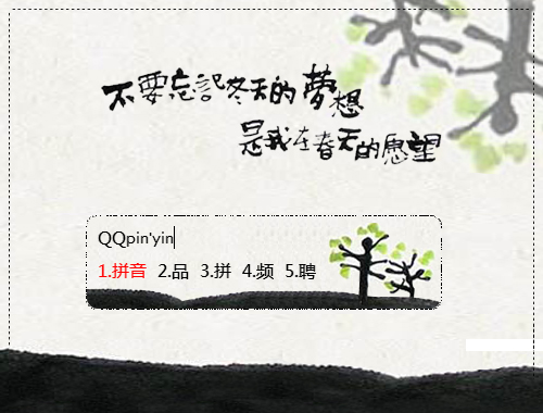 皮肤预览