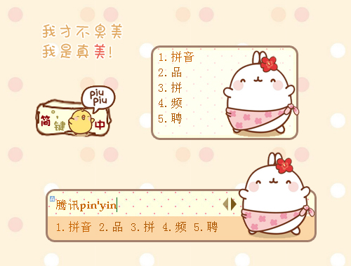 皮肤预览