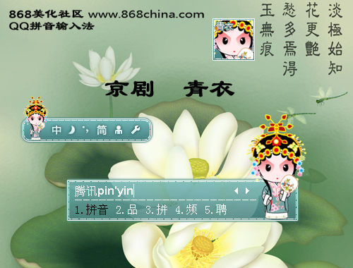 皮肤预览