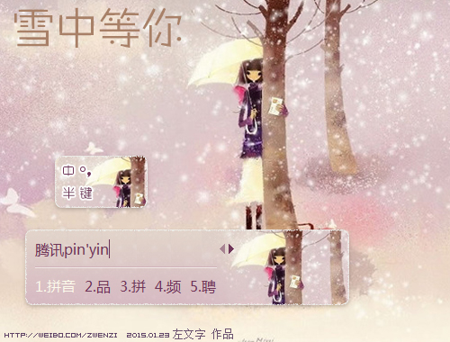 皮肤预览