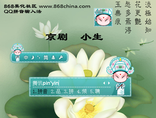 皮肤预览