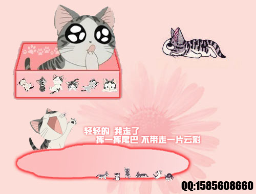 皮肤预览
