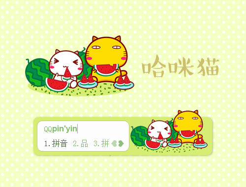 皮肤预览